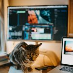 Explainer Video Services in Mumabi