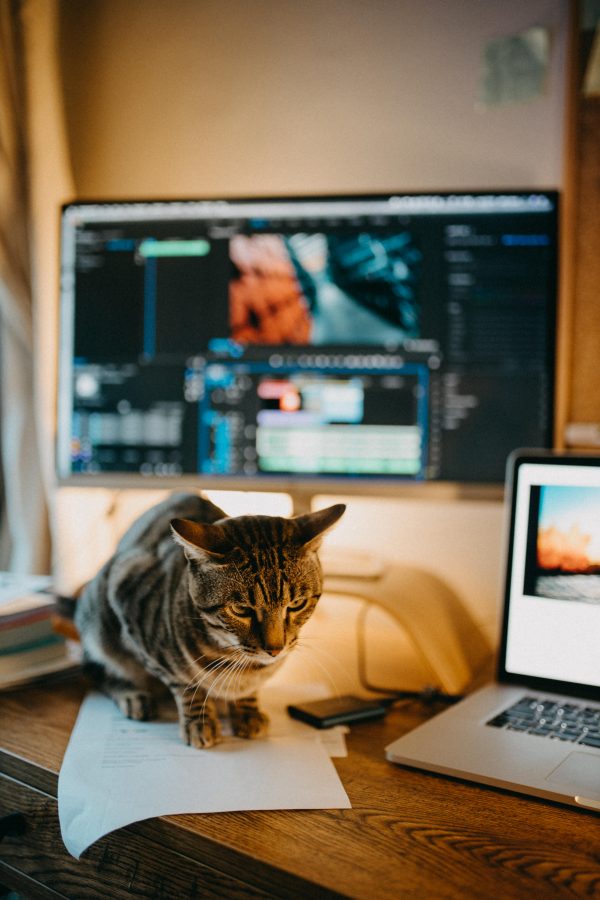 Explainer Video Services in Mumabi